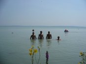 v Balatonu
